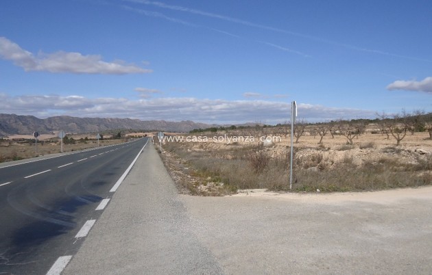 Revente - Land - Yecla - Inland