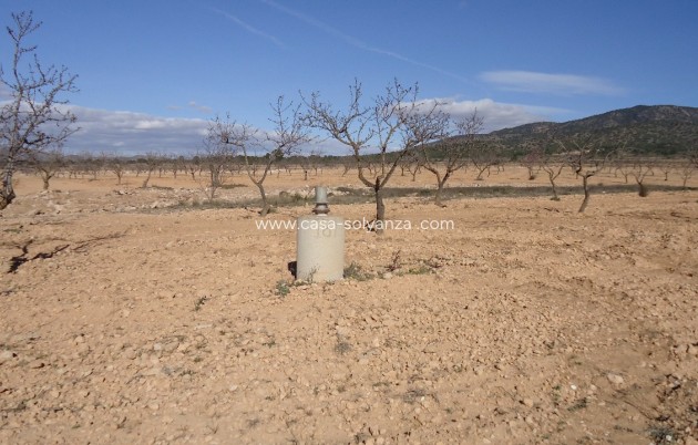 Revente - Land - Yecla - Inland
