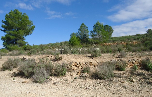 Revente - Land - Monóvar - Inland