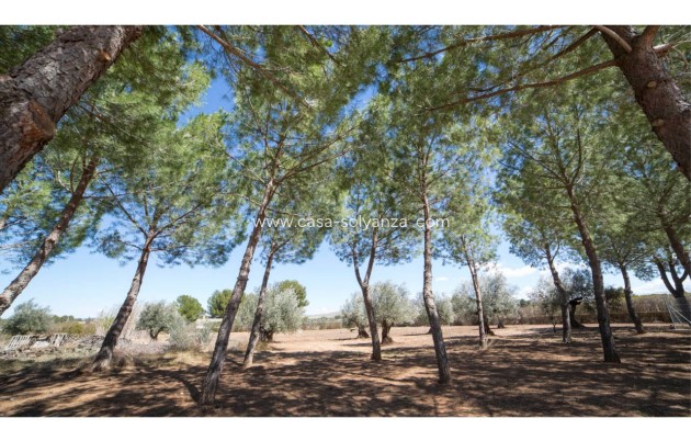 Revente - Villa - Yecla - Inland