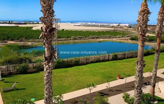 Revente - Appartement - Pilar de la Horadada - Costa Blanca