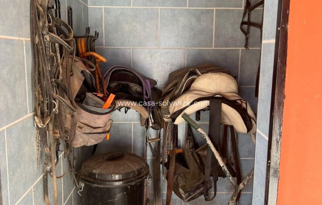 Wiederverkauf - Villa - Almoradí - almoradi