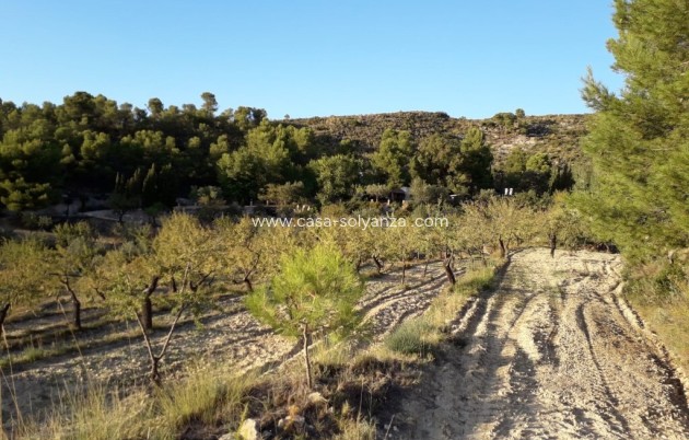 Revente - Country Property/Finca - Torremanzanas - Costa Blanca