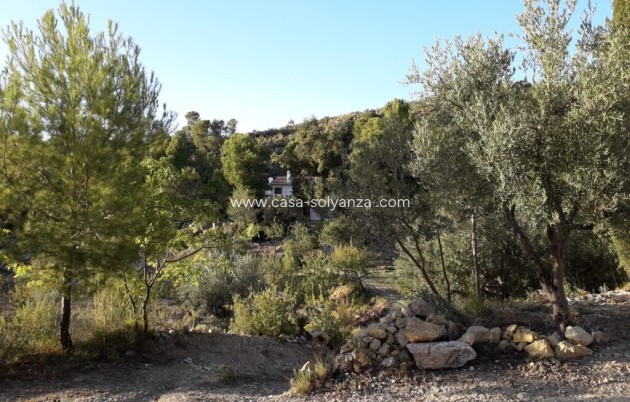 Revente - Country Property/Finca - Torremanzanas - Costa Blanca