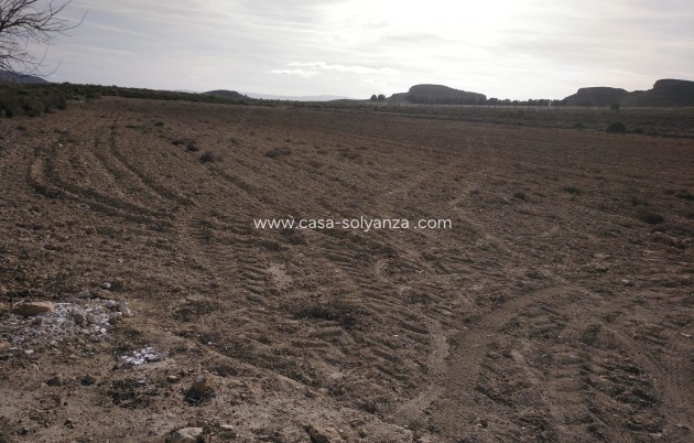 Revente - Commercial - Yecla - Inland