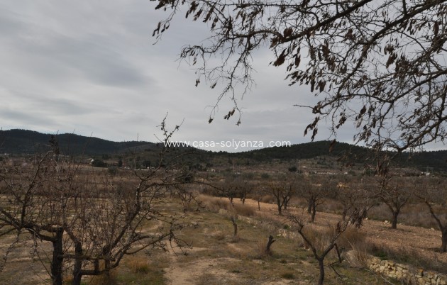 Revente - Villa - Chinorlet - Inland