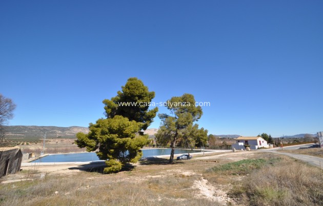 Revente - Country Property/Finca - Villena - Inland