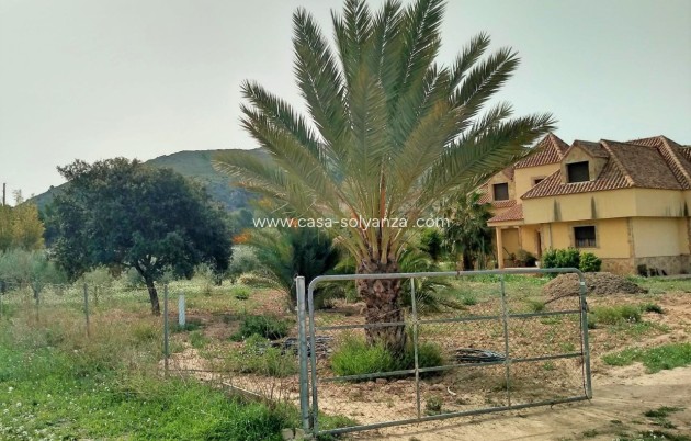 Revente - Villa - Aspe - Inland