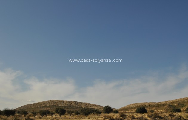 Revente - Land - Torre Del Rico - Inland