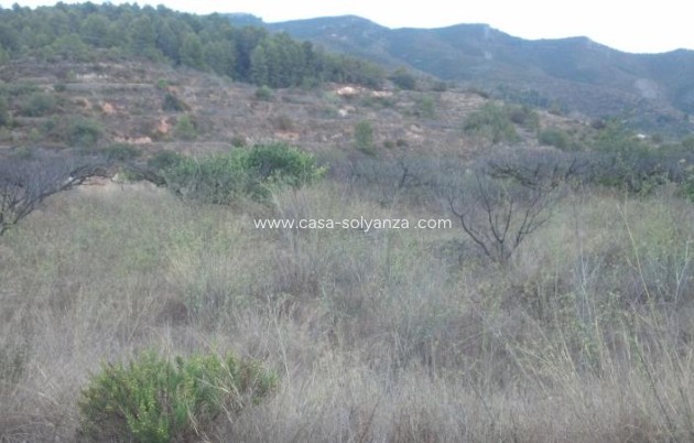 Revente - Land - Gandia - Inland