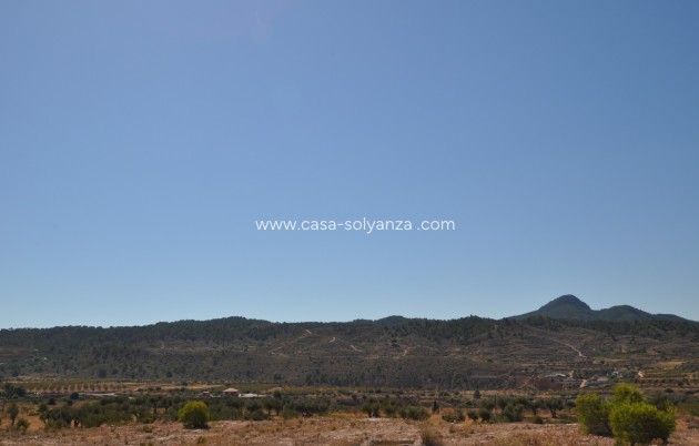 Revente - Land - Macisvenda - Inland