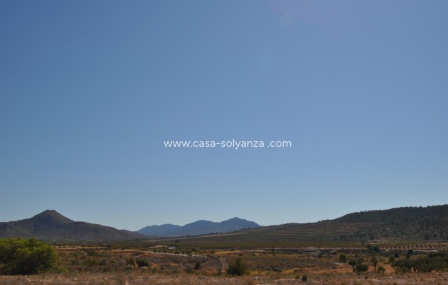 Revente - Land - Macisvenda - Inland