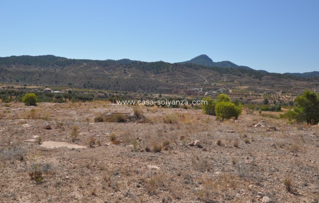 Revente - Land - Macisvenda - Inland