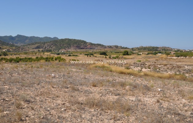 Revente - Land - Macisvenda - Inland