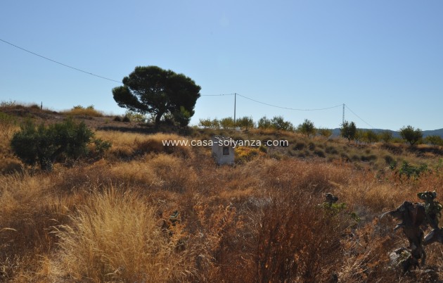 Herverkoop - Country Property/Finca - Macisvenda - Inland