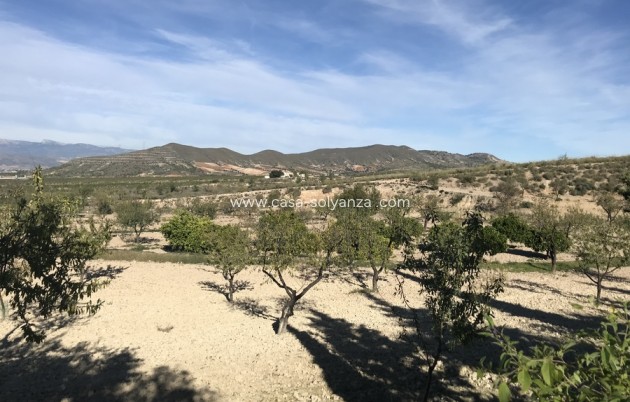 Revente - Country Property/Finca - Lorca - Costa Calida