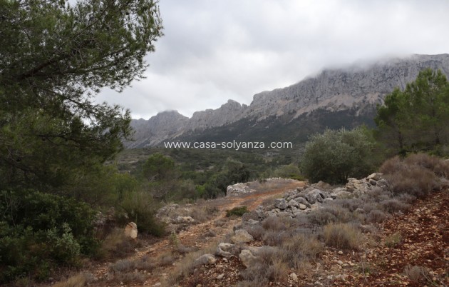 Revente - Land - Jalón - Inland