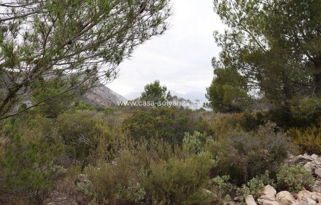 Revente - Land - Jalón - Inland