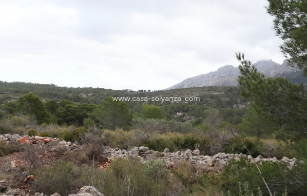 Revente - Land - Jalón - Inland