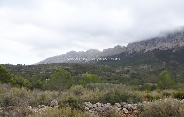 Revente - Land - Jalón - Inland