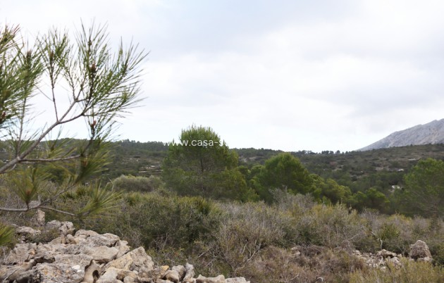 Revente - Land - Jalón - Inland