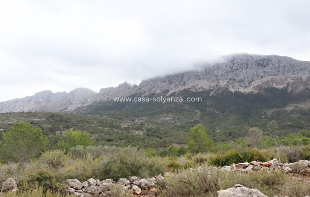 Revente - Land - Jalón - Inland