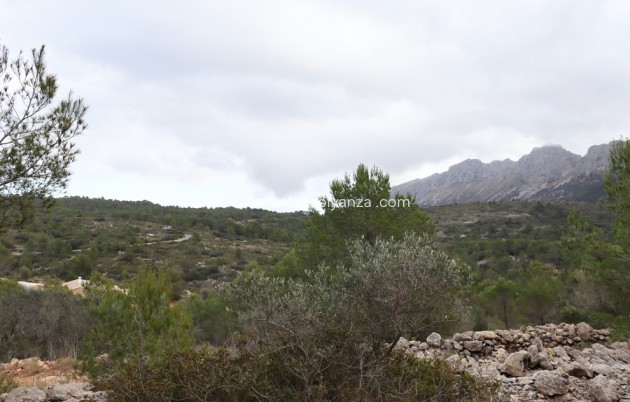 Revente - Land - Jalón - Inland