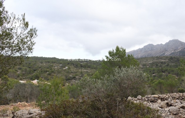 Revente - Land - Jalón - Inland