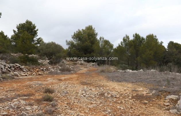 Revente - Land - Jalón - Inland