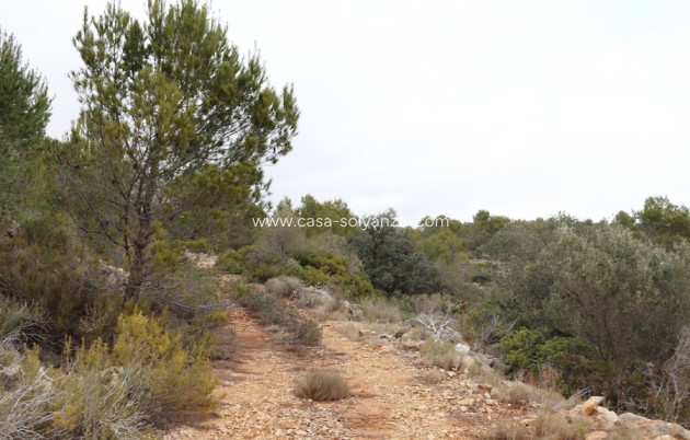 Revente - Land - Jalón - Inland