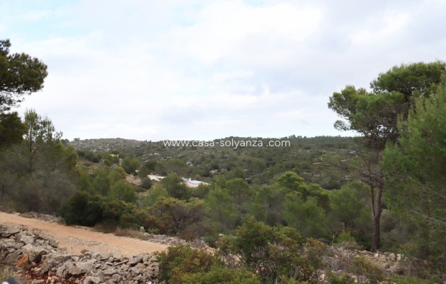 Revente - Land - Jalón - Inland