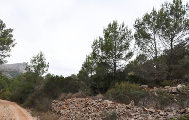 Revente - Land - Jalón - Inland