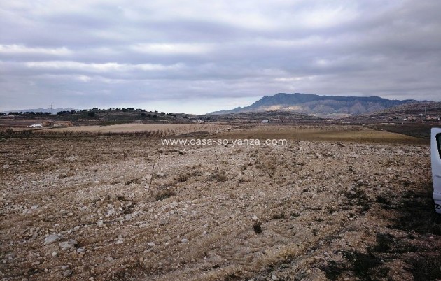Revente - Land - Torre Del Rico - Inland
