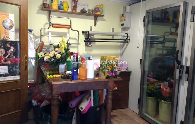 Reventa - Adosado - Pinoso - Inland