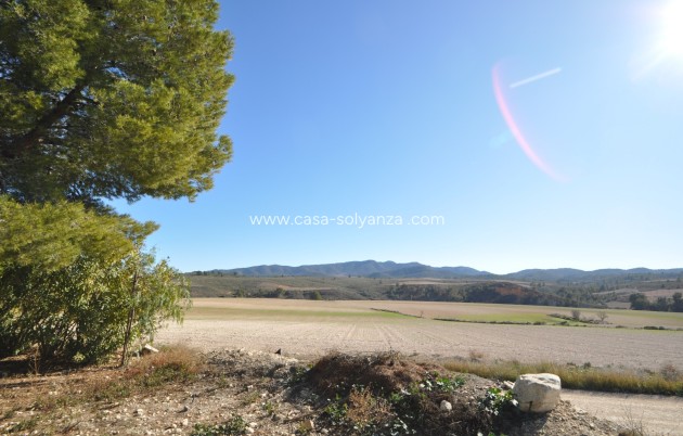 Revente - Country Property/Finca - Jumilla - Inland