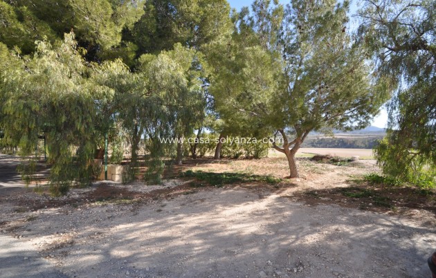 Revente - Country Property/Finca - Jumilla - Inland