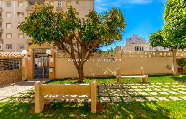 Wiederverkauf - Wohnung - Torrevieja - Center