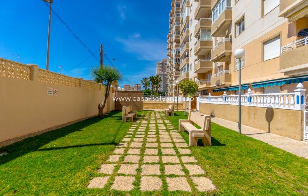 Wiederverkauf - Wohnung - Torrevieja - Center