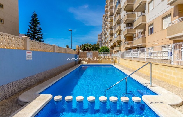 Wiederverkauf - Wohnung - Torrevieja - Center