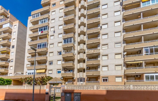 Wiederverkauf - Wohnung - Torrevieja - Center
