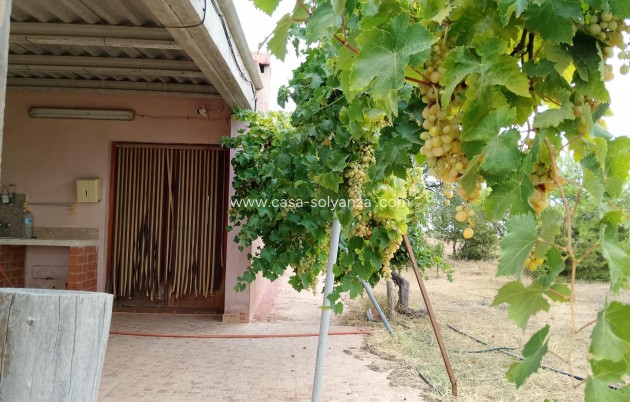 Resale - Country Property/Finca - Cartagena - La Magdalena