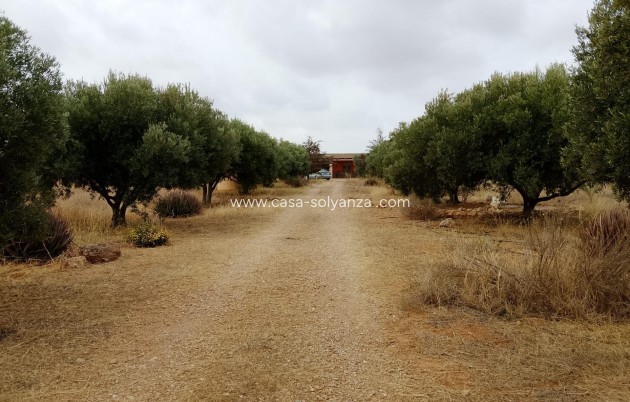 Resale - Country Property/Finca - Cartagena - La Magdalena