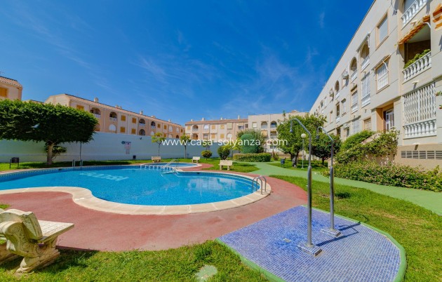 Revente - Appartement - Torrevieja - Acequion