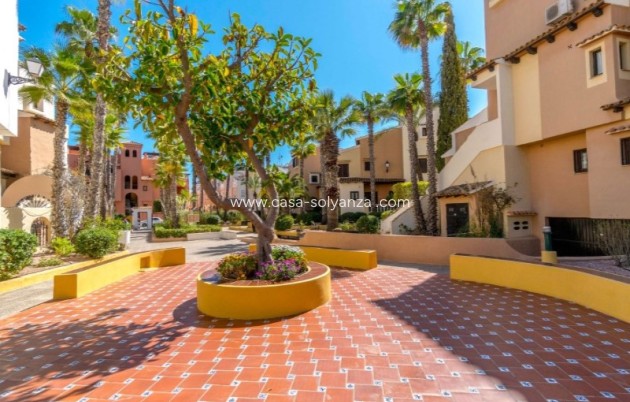 Revente - Appartement - Torrevieja - Costa Blanca