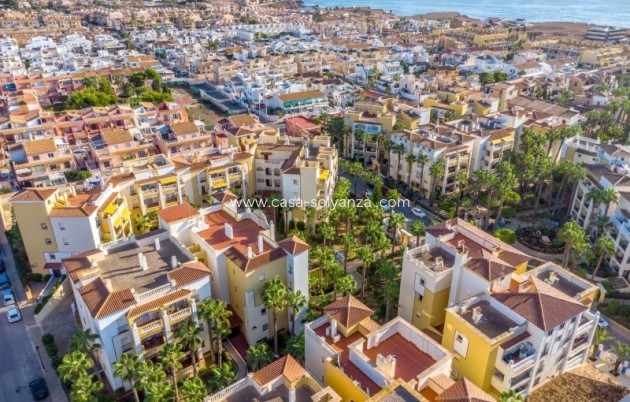Revente - Appartement - Torrevieja - Costa Blanca