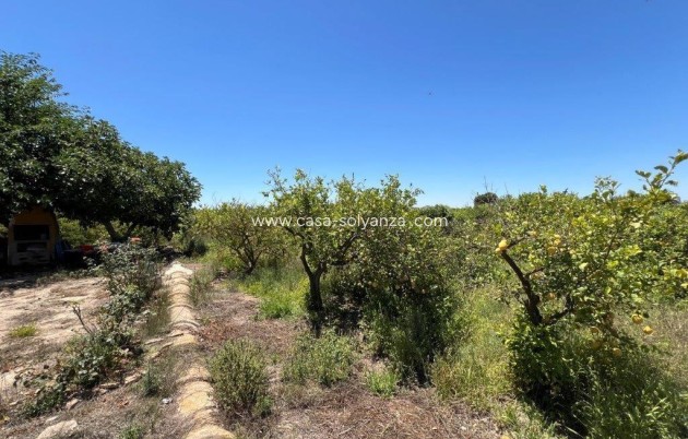 Resale - Country Property/Finca - Daya Nueva - almoradi