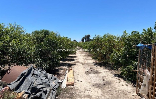 Resale - Country Property/Finca - Daya Nueva - almoradi