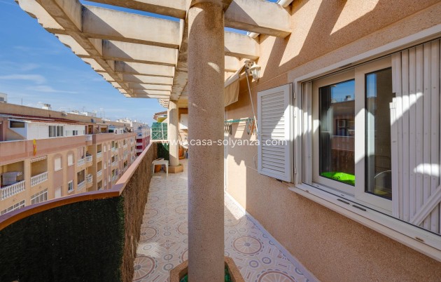 Wiederverkauf - Wohnung - Torrevieja - Costa Blanca