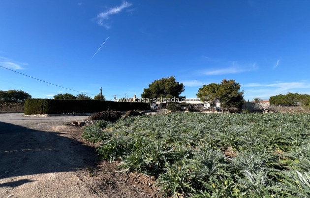 Reventa - Country Property/Finca - Dolores - Camino De La Cebada
