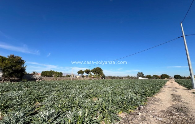 Reventa - Country Property/Finca - Dolores - Camino De La Cebada